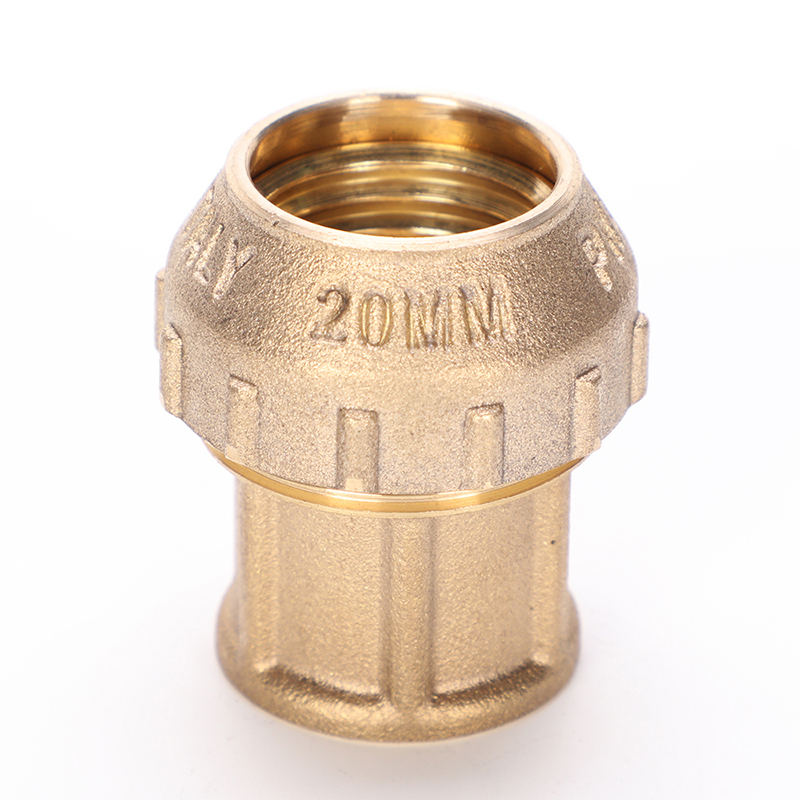 Brass PE Fitting-Female Coupling