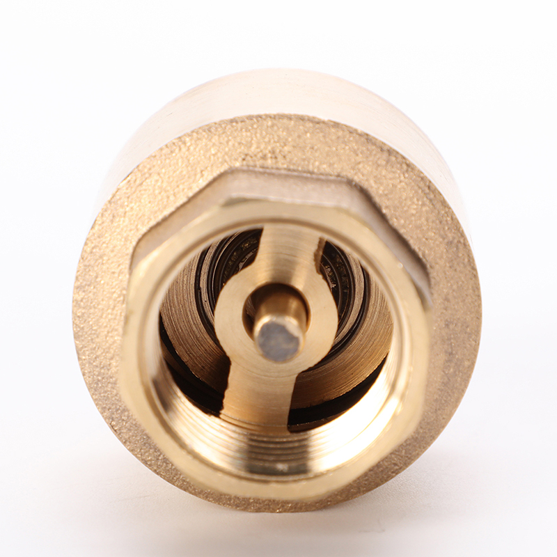 Brass Check Valve